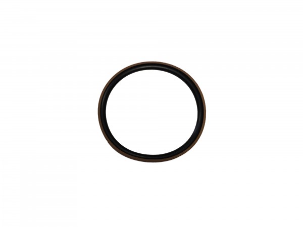 GLYD-Ring/Kolbendichtung 100x87,8x7,3