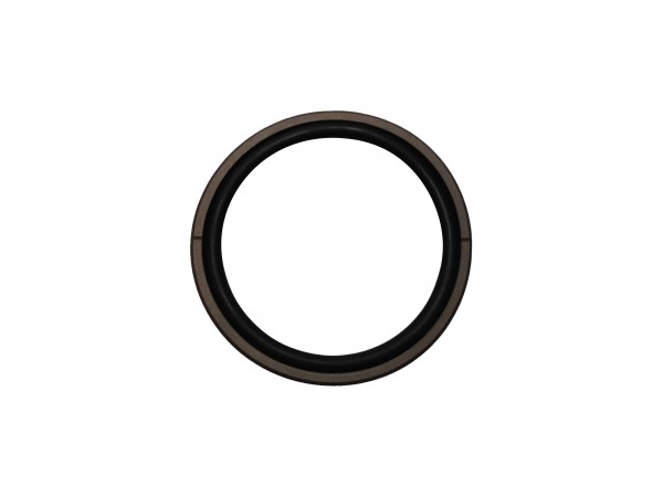 GLYD-Ring/Kolbendichtung 125x109,5x6,3
